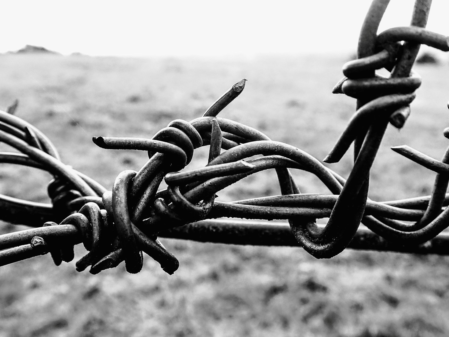 Mapping the Interconnected Nature of Modern Risk